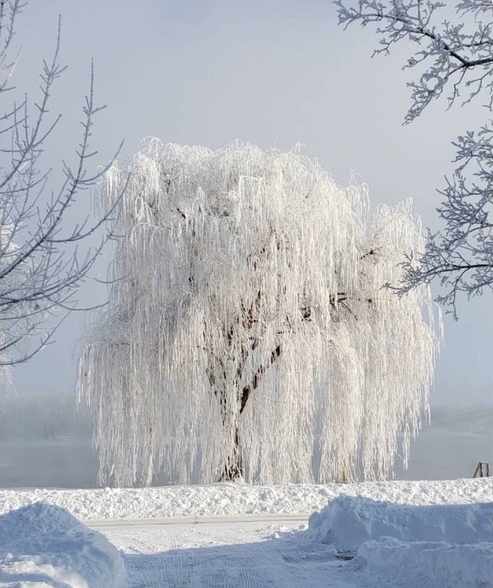 RIME